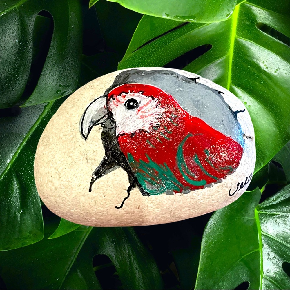 Hand crafted painted red gray parrot rock natural white background 2x3 inch apx